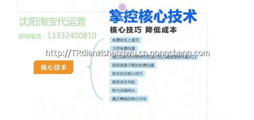 二、 淘宝天猫店铺运营外包的优势