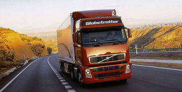 成本结构与风险对比