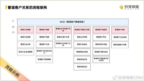 定期分析客户评价：发现改进点，优化服务