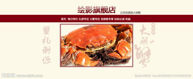 违规处理与喵供质量保障规范