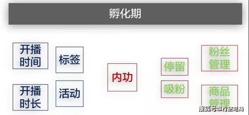 直播预告的重要性与设置技巧