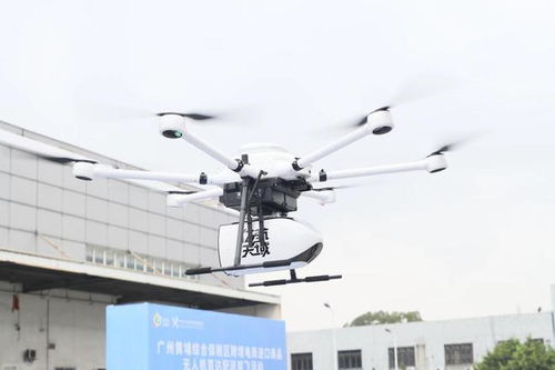 跨境电子商务：一种新型贸易方式的崛起