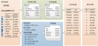 独立承运商的核心控制力与资源壁垒