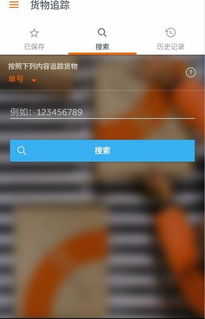 一、 TNT国际快递服务概述