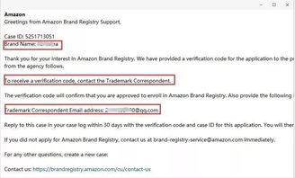 商标注册：备案的前提与保障