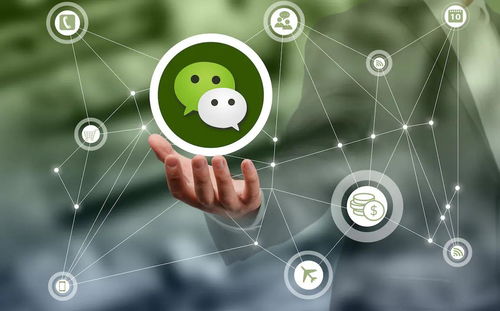 一、 微信视频号流量池的独特之处