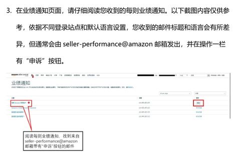 二审的机会与挑战