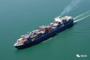 全球各大船公司船期准班率排名
