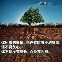 从迷茫到扎根的勇气