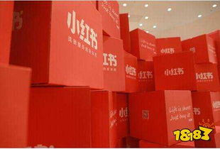 2. 同过平台提升赞