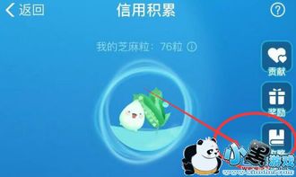 四、 芝麻粒的获取途径与使用方法