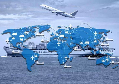 五、 货物清单：详细列出货物的各项信息