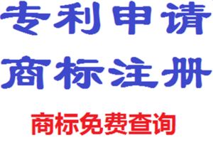 上海公司如何注册美国商标：专业服务助力高效完成