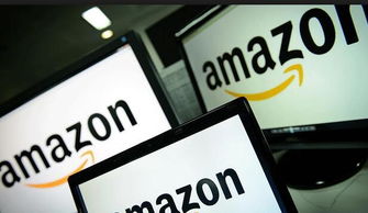 一、亚马逊订单量不稳定的原因分析