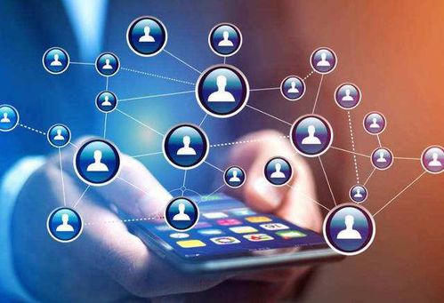 一、 专利保护：维护平台声誉的关键因素