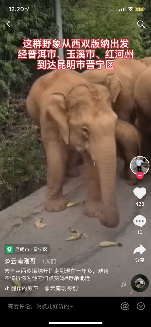 账号涨粉特性的拆解