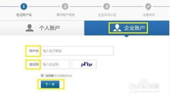 二、合法身份与公司信息