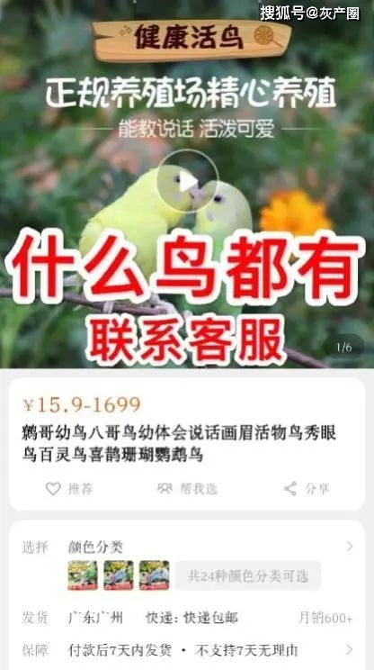 三、闲鱼保修服务的真实性与注意事项