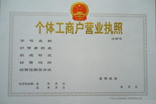 二、 跨境电商个体户执照网上办理全流程