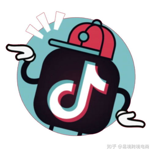 一、 抖音聊天软件的著作权与版本信息