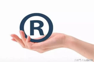 二、 常见的图片侵权行为及其律法风险