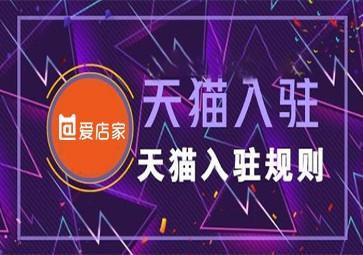 4. 营销推广费用