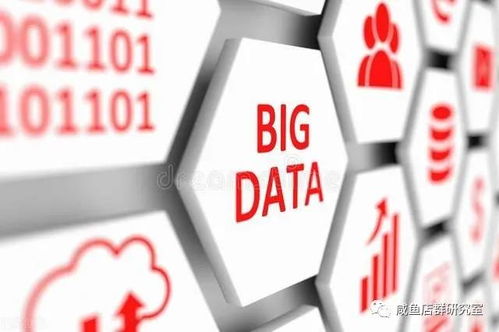 闲鱼曝光的定义及意义