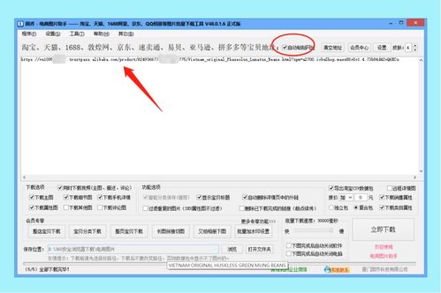 二、无货源网店的操作步骤与要点