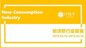 二、 天猫国际进口超市的运营模式及商品来源