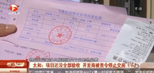 2. 复检检验方出具的复检结论为到头来检验结论