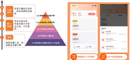 2. 运营策略不同