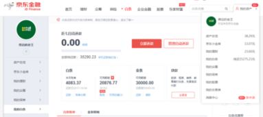 一、 京东分期付款方式概述