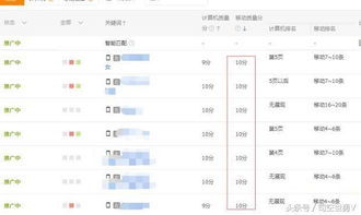 二、 直通车如何使用与技巧探讨