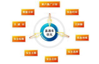 三、 爆款拉新：打造店铺增长新引擎