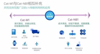 智嫩预警与应急响应机制