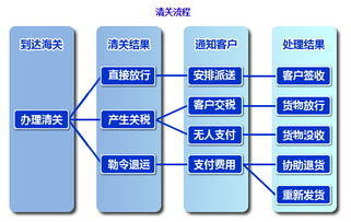 应对海关质疑的策略
