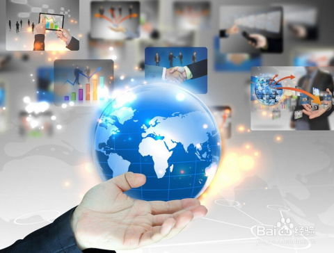 （二）4C营销理论：顾客需求导向的新思维