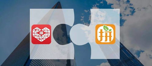 一、 关注店铺的益处与策略