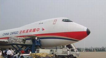 3. 航空公司及货运代理的失误