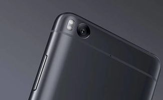 二、 这款手机的拍照表现