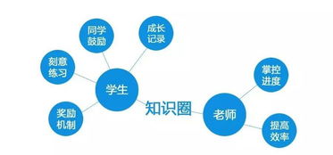 4. 数据分析与优化
