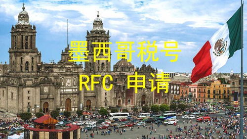 2. 提供财务灵活性