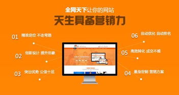 二、 具有品牌知名度的产品