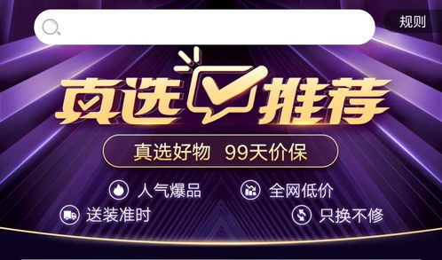 三、淘工厂直营店：价格与可靠性