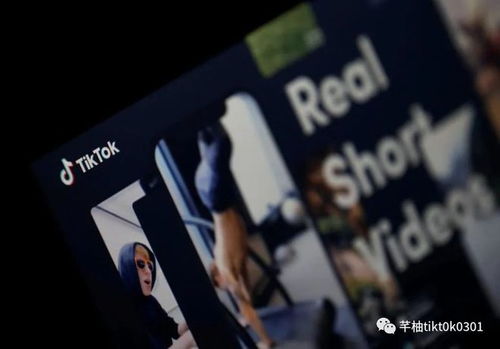 盈利模式：多渠道收入的比较