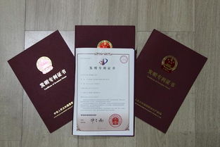 2. 世界知识产权组织专利检索网站