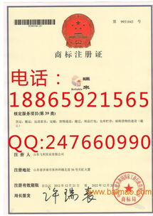 自行完成初步检索