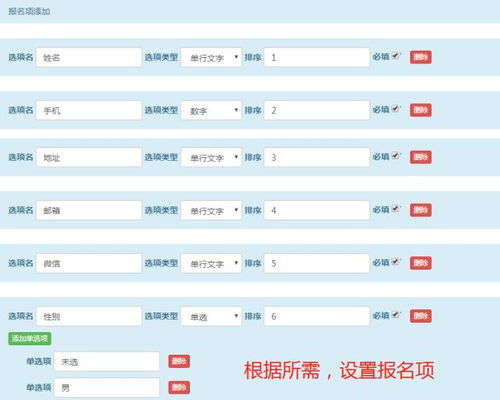 案例分析：成功案例背后的秘密