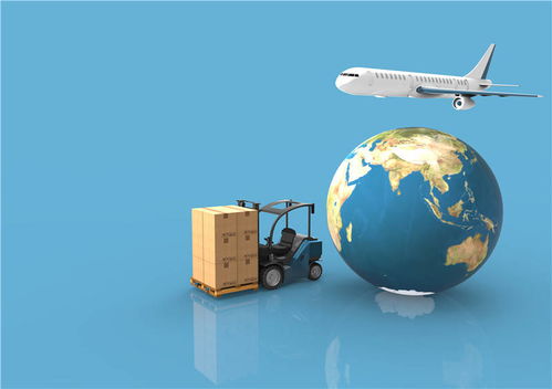 考察服务质量：与工作人员交流， 评估其服务态度