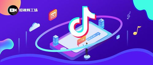 对创作者的启示